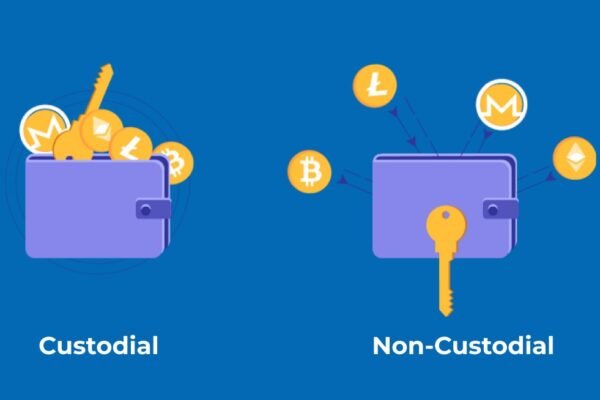 Crypto Wallet - Choosing the Right Crypto Wallet Custodial vs Non Custodial Breakdown